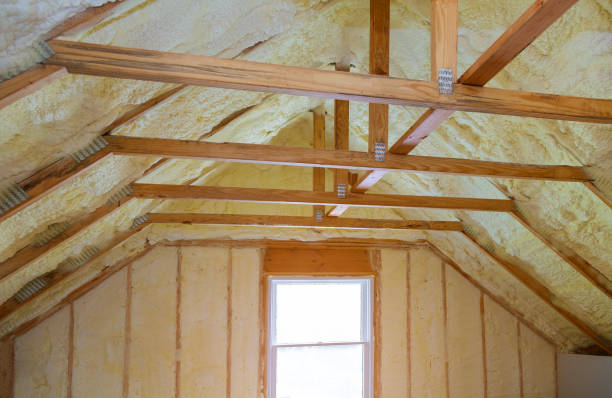 Best Residential Insulation in Astor, FL