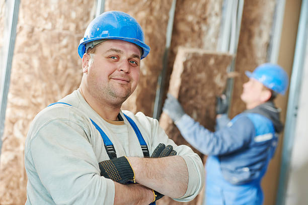 Best Insulation Installation Services in Astor, FL